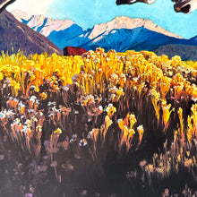 Load image into Gallery viewer, Life is a Bronc Print Mark Maggiori
