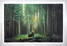 Load image into Gallery viewer, Matho (Large) Print Mark Maggiori
