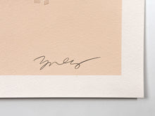 Load image into Gallery viewer, Max Pipe Print James Jean
