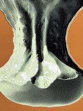 Load image into Gallery viewer, Pastel Editions - Apple Core Print CJ Hendry

