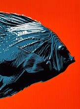 Load image into Gallery viewer, Pastel Editions - Fish (Blue/Red) Print CJ Hendry
