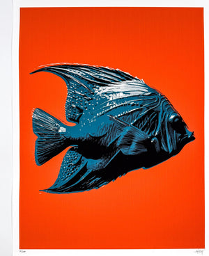 Pastel Editions - Fish (Blue/Red)