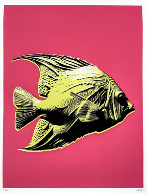 Pastel Editions - Fish (Green/Pink)