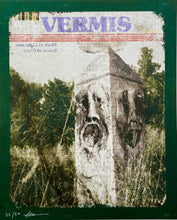 Load image into Gallery viewer, Vagrant Crown (Vermis II) Print Plastiboo
