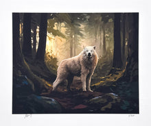 Load image into Gallery viewer, Wolf Medicine Print Mark Maggiori

