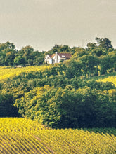 Load image into Gallery viewer, Wurzburg Country Print Robert Edward
