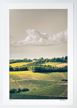 Load image into Gallery viewer, Wurzburg Country Print Robert Edward
