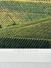 Load image into Gallery viewer, Wurzburg Country Print Robert Edward
