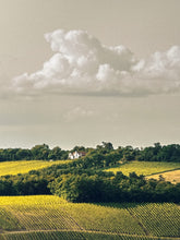 Load image into Gallery viewer, Wurzburg Country Print Robert Edward
