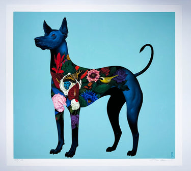 Xolo Viajero – Post Modern Vandal