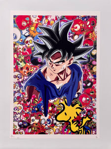 Goku and Woodstock (AP) Print Death NYC