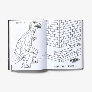 I Am The Jug You Are The Glass (1st Edition) Book/Booklet David Shrigley