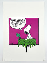 Load image into Gallery viewer, Look Up Snoopy Print Death NYC
