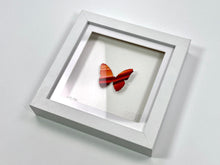 Load image into Gallery viewer, Mini Butterfly #49 (Framed) Painting Damien Hirst

