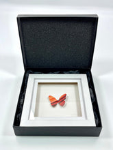 Load image into Gallery viewer, Mini Butterfly #49 (Framed) Painting Damien Hirst
