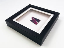 Load image into Gallery viewer, Mini Shark (Framed) Painting Damien Hirst
