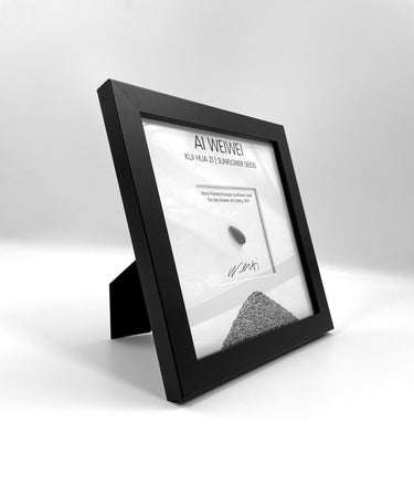 Porcelain Sunflower Seed From 2010 Exhibit (Framed) – Post Modern