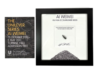 Porcelain Sunflower Seed From 2010 Exhibit (Framed) – Post Modern