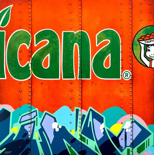 Descriptive image text