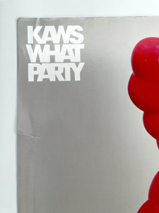 What Party Print KAWS